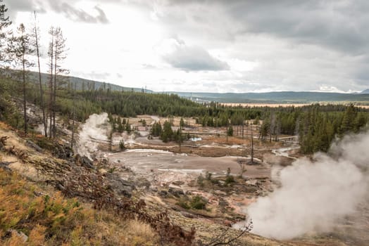 Steaming Mud Pod Area in famous Yellowstone National Park, USA