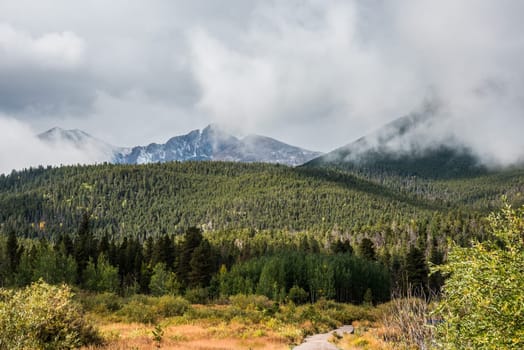 Clouds hanging over a forest in the Rocky Mountains NP, USA