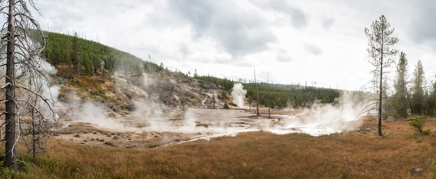 Steaming Mud Pod Area in famous Yellowstone National Park, USA