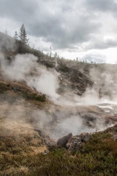 Steaming Mud Pod Area in famous Yellowstone National Park, USA