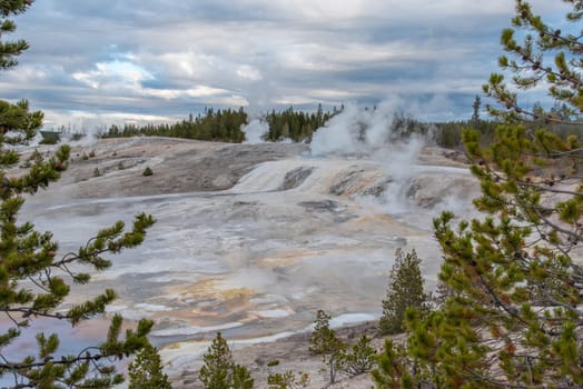 Steaming Mud Pod Area in famous Yellowstone National Park, USA