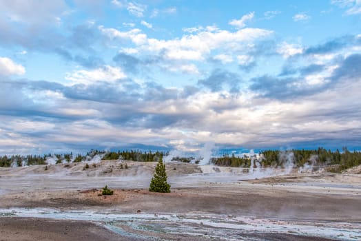 Steaming Mud Pod Area in famous Yellowstone National Park, USA