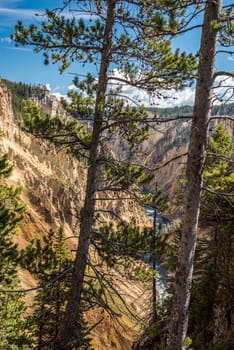 River flowing through the popular Grand Canyon of the Yellowstone, USA