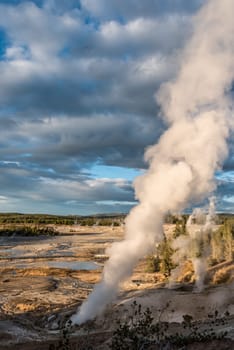 Steaming Mud Pod Area in famous Yellowstone National Park, USA