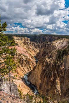 River flowing through the popular Grand Canyon of the Yellowstone, USA