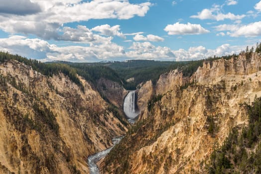 River flowing through the popular Grand Canyon of the Yellowstone, USA