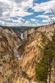 River flowing through the popular Grand Canyon of the Yellowstone, USA