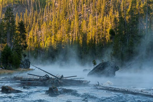 Early morning at a quiet river, fog is rising, Yellowstone National Park, USA