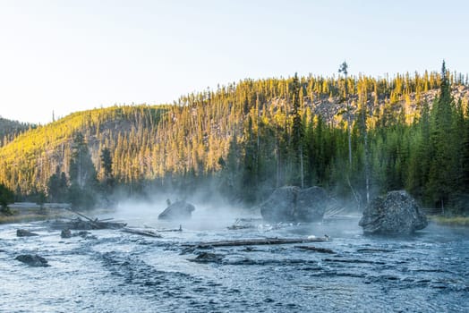 Early morning at a quiet river, fog is rising, Yellowstone National Park, USA