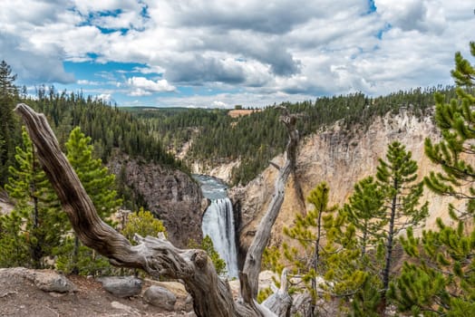 River flowing through the popular Grand Canyon of the Yellowstone, USA