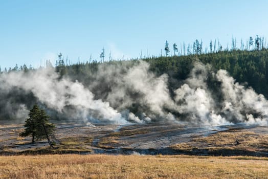 Steaming mud pots in the early morning in the Yellowstone National Park, USA