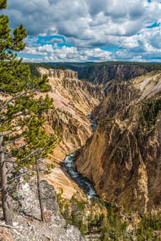 River flowing through the popular Grand Canyon of the Yellowstone, USA