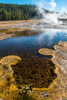 Great colorful pools of the Upper Geyser Basin of Yellowstone NP, USA