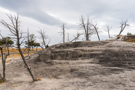 Scenic lifeless calcium terraces at Mammoth Hot Springs, Yellowstone National Park, USA