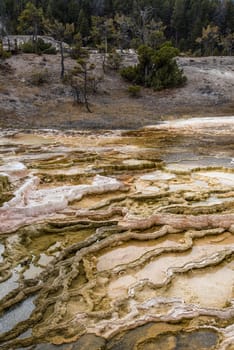 Scenic lifeless calcium terraces at Mammoth Hot Springs, Yellowstone National Park, USA