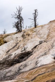 Scenic lifeless calcium terraces at Mammoth Hot Springs, Yellowstone National Park, USA