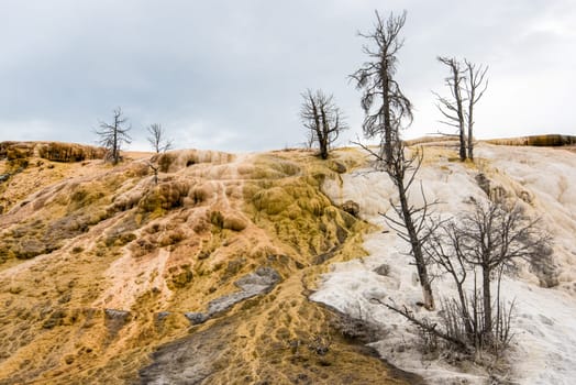 Scenic lifeless calcium terraces at Mammoth Hot Springs, Yellowstone National Park, USA