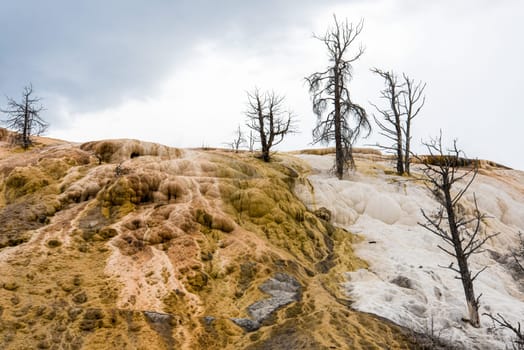 Scenic lifeless calcium terraces at Mammoth Hot Springs, Yellowstone National Park, USA