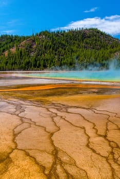 Famous Grand Prismatic Spring basin in Yellowstone National Park, USA