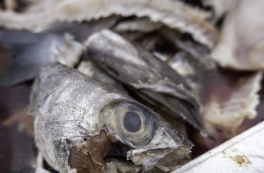 Detail of fish wasted and thrown in the trash, spoiled food