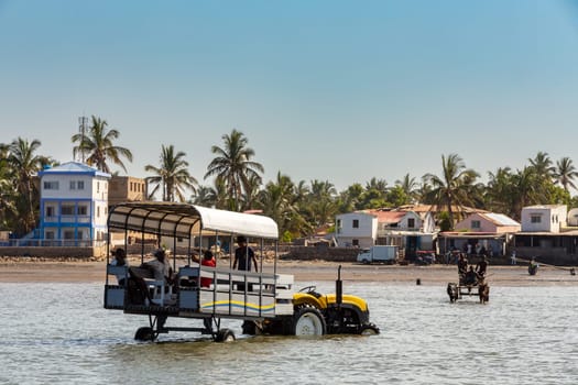 Toliara, Madagascar - November 24, 2022: Modern tractor takes tourists to the boat at low tide. In background as contrast is zebu used as a draft animal in Madagascar.