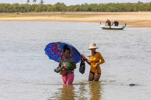Morondava, Madagascar - November 3rd, 2022: A young women bravely crosses a river, wading through waist-deep water, as it's the only way to get to the other side.