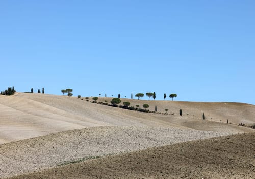The rural landscape near San Quirico in Tuscany. Italy