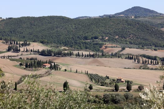 The rural landscape near Pienza in Tuscany. Italy