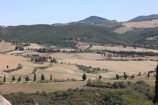 The rural landscape near Pienza in Tuscany. Italy