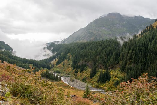 Magnificent mountain landscape around Mount Rainier National Park, USA
