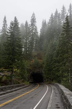 A typical highway tunnel in the forest of Mount Rainier National Park, USA