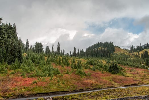 Colorful alpine landscape at Mount Rainier National Park, USA