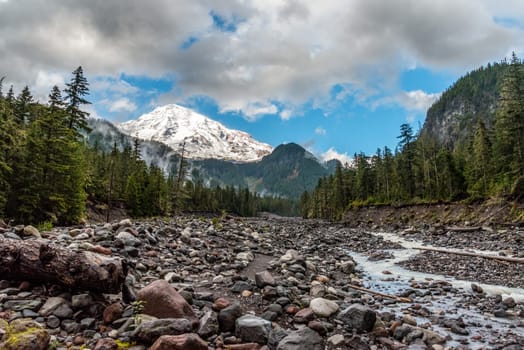 Great view on Mt Rainier from Nisqually river, USA
