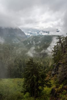 Magnificent mountain landscape around Mount Rainier National Park, USA