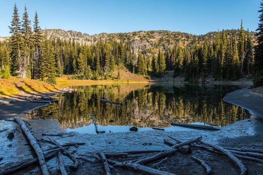 Scenic reflection from Shadow Lake in Mount Rainier National Park, USA