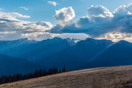 Alpine landscape in the Olympic National Park, Washington State, USA