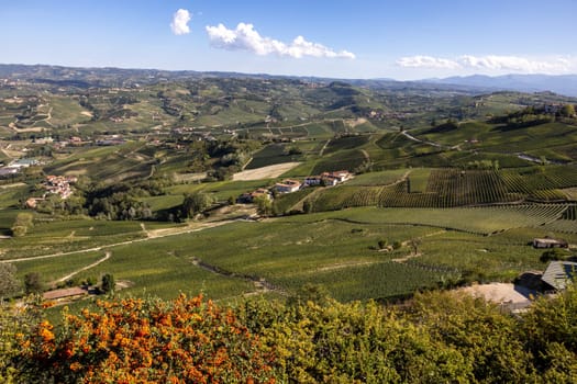 View of Langhe vineyards from La Morra,  UNESCO Site, Piedmont, Italy