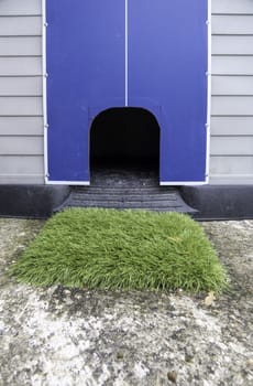 Detail of a house for a dog, pet and care of a domestic animal