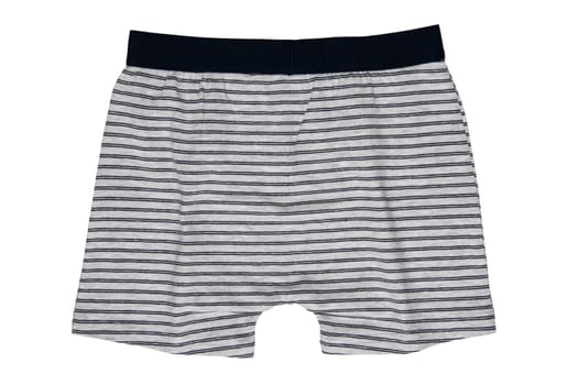 Male underwear isolated. Close-up of gray striped boxer short isolated on a white background. Mens underwear fashion. Clipping path. Back view. Boys fashion.