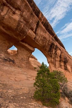 Great view on the Partition Arch in the Arches National Park, USA