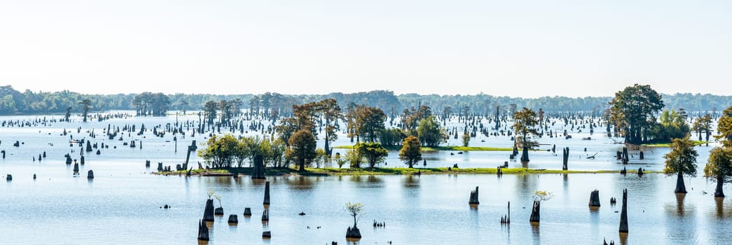 Panoramic view of the Bayou in Louisiana, USA