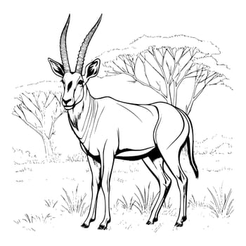 Antelope Coloring Pages For Kids