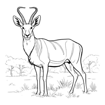Antelope Coloring Pages For Kids