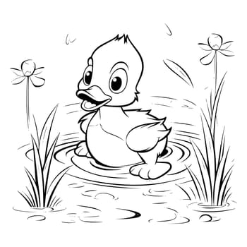 Baby Duck Coloring Pages Drawing For Kids