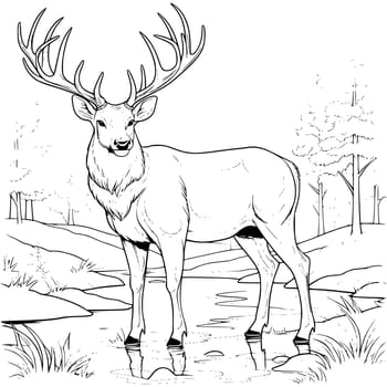 Big Deer On The River Bank Coloring Page Drawing For Kids