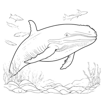 Blue Whale Coloring Pages Drawing For Kids