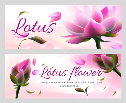 Vector horizontal banners with pink lotus flowers and flying petals on white background. Packaging design for ayurveda products or natural aroma spa cosmetic. Greeting card or invitation card template
