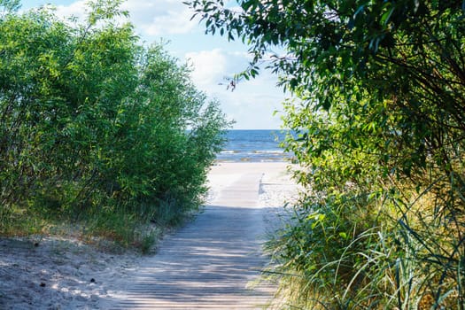Scenic view of sandy path road surrounded by trees bushes with green leaves to beach sea ocean on sunny summer day. Summertime, holiday, vacation, travelling, nature, landscape, seascape, tourism.
