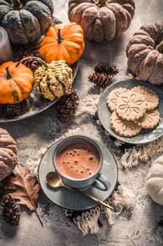 Chai chocolate  or hot cacao with chai cookies, pumpkins for Thanksgiving breakfast. Cozy autumn still life, hygge.