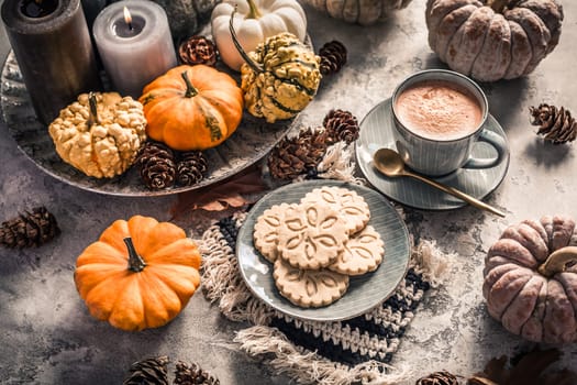 Chai chocolate  or hot cacao with chai cookies, pumpkins for Thanksgiving breakfast. Cozy autumn still life, hygge.